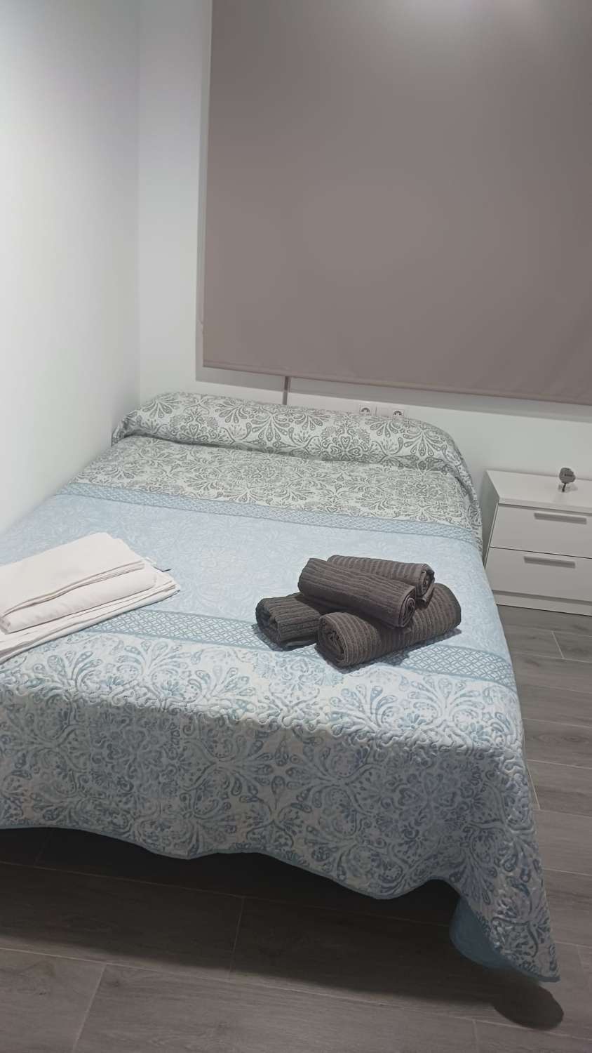 Amplio apartamento de alquiler para invierno